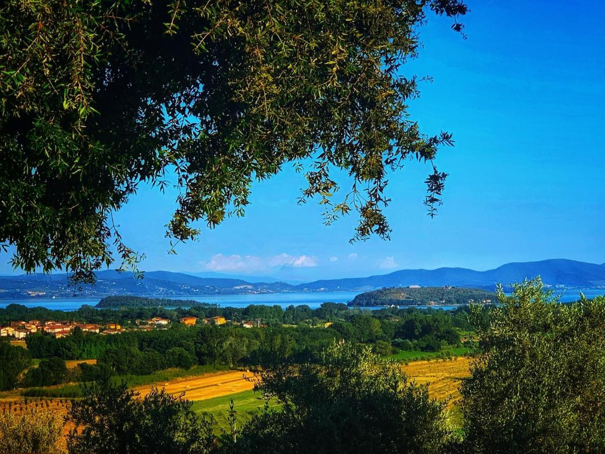 Agriturismo Annibale Tuoro sul Trasimeno Exterior foto